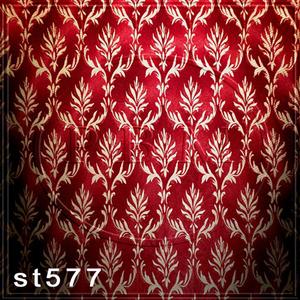 5'x8' ST577